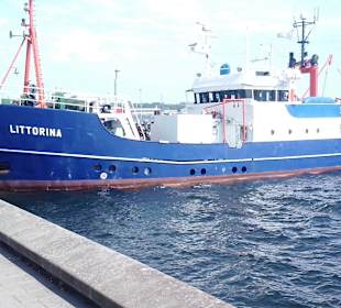 Kieler Förde