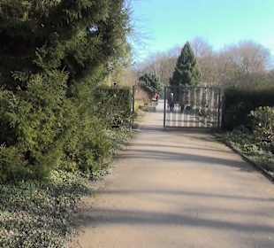 Botanischer Garten - Rombergpark