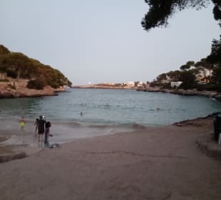 Strand