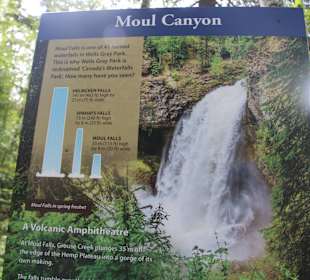 ....tolle Erläuterungen....