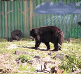 Serengeti Park Hodenhagen