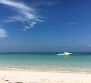Cayo Jutias