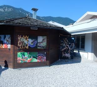 Wandern Hermagor - Pressegger See