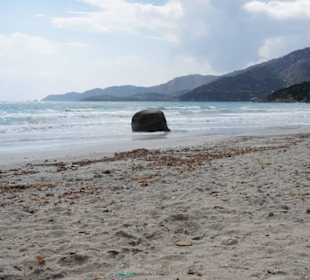 Ziemlich windig an unserem Tag