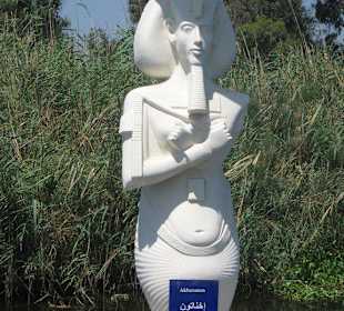Pharao Amenophis IV