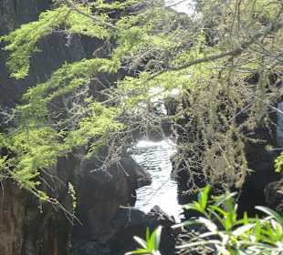 Blick in die Felsenschlucht