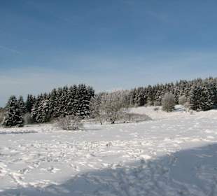 Gipfel Tasufstein 773 m