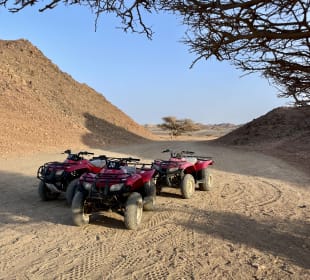 Quad Tour Marsa Alam