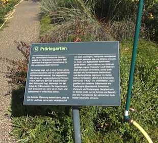 Präriegarten - Berggarten