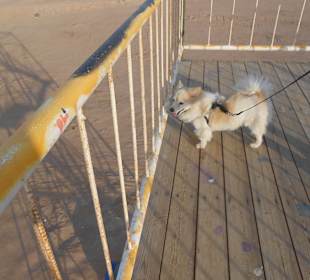 Oh, das ist aber ziemlich hoch