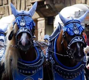 Bierführerverein Fürth