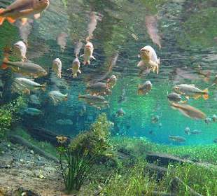 Unglaubliches Erlebnis