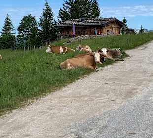 Wandern Berchtesgaden