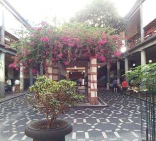 Markt