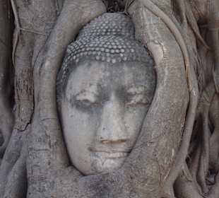 Ayutthaya 