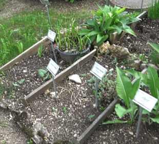 Kurgarten Erpfingen