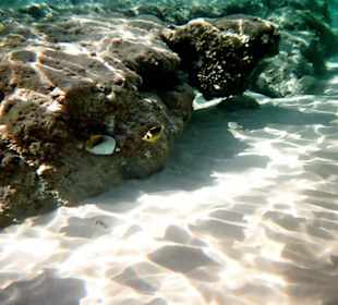 Unterwasser-Einwegkamera