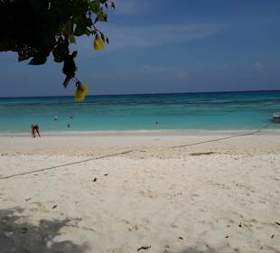 Tachai