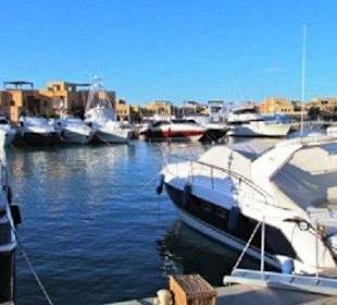 Stadtrundfahrt Hurghada - El Gouna - Amy Reisen 