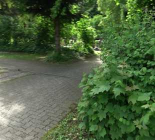 Neuer Friedhof
