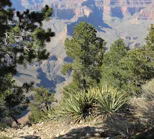 Grand Canyon South Rim