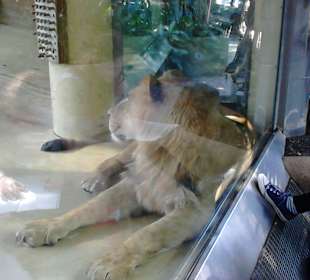 Tierpark Hellabrunn in München