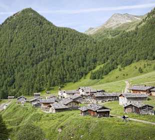 Ausflugsziel Fane Alm