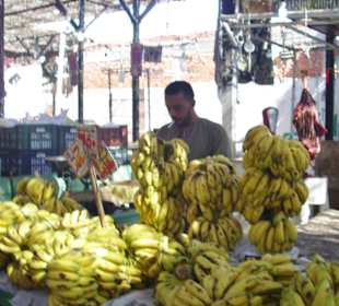 Bananen für 6,5 LE das kg 