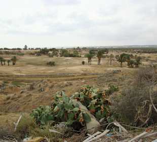 Krajobrazy podczas podróży kamelami
