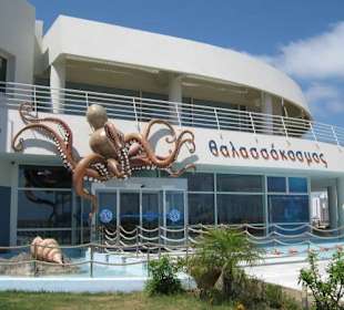 Cretaquarium