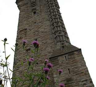 View of the Wallace Monument