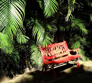 Impressionen aus dem Jardin Botanique de Deshaies