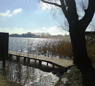 Schalsee