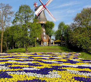 Mühle am Wall - die "Kaffee Mühle"
