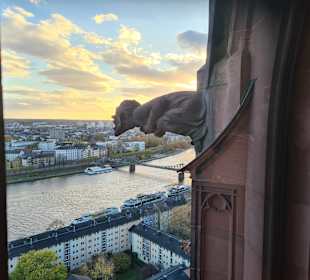 Aussicht vom Turm auf den Main