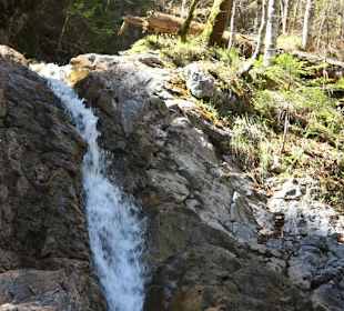 Der Eibseezufluss Kotbach