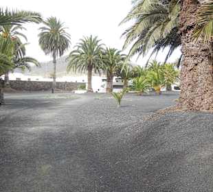 Museo Cesar Manrique