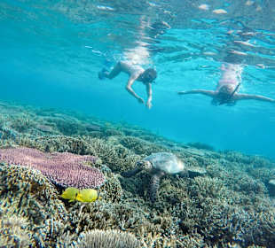 Snorkeling at Pink Beach Komodo Island