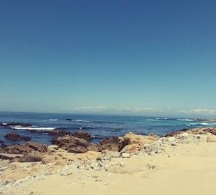 Auf den Spuren der Siedler