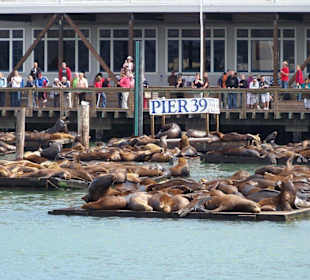 Pier 39