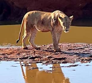 Tsavo East