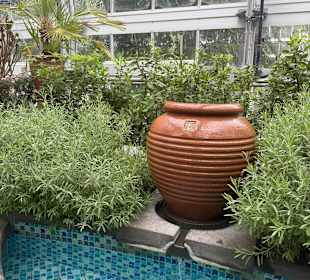 Botanischer Garten in Washington 