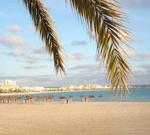 Blick auf den Strand von Can Pastilla aus