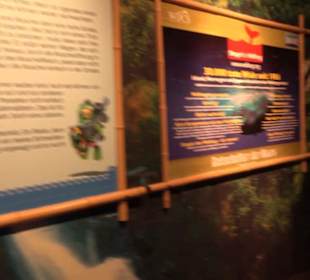  Lego X-Treme - Legoland Atlantis by SEA LIFE