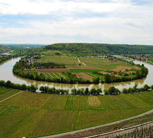 Die Neckarschleife