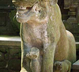 Tempel im heiligen Monkey Forest