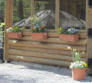 Blumenschmuck Gartenwirtschaft Fischteich