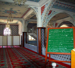 Die Moschee mit Rückfahrt Manavgat