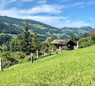 Wandern Alpbach