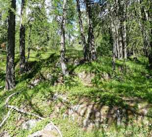 Natur